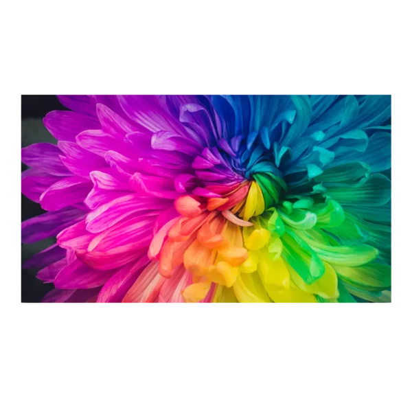 led-display