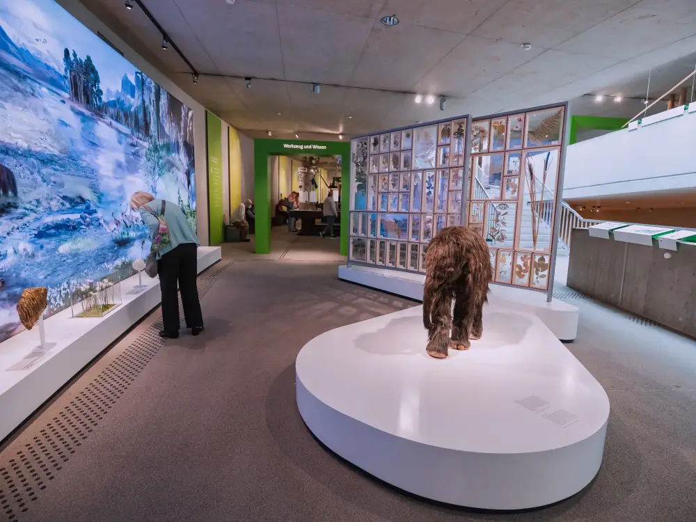 How Videowalls Create Immersive Experiences In Museums And Exhibitions videowalls arvia israk solutions